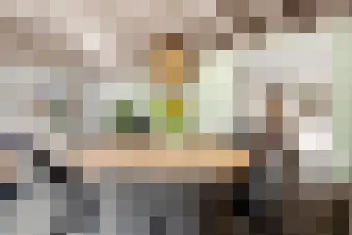 Lunterseweg 50 Ede thumbnail 12