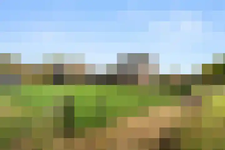 Lunterseweg 50 Ede thumbnail 29