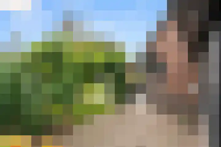 Lunterseweg 50 Ede thumbnail 30