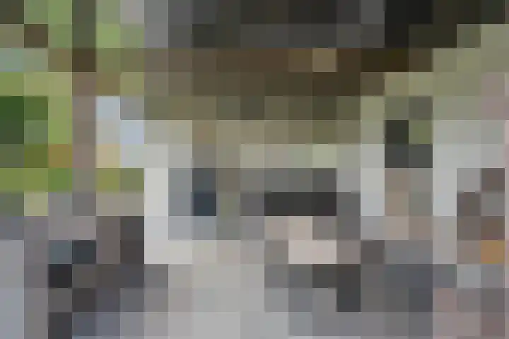Lunterseweg 50 Ede thumbnail 34