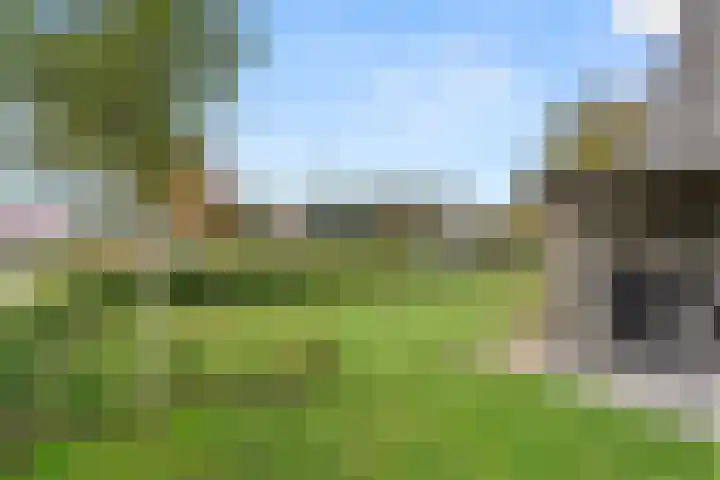 Lunterseweg 50 Ede thumbnail 36