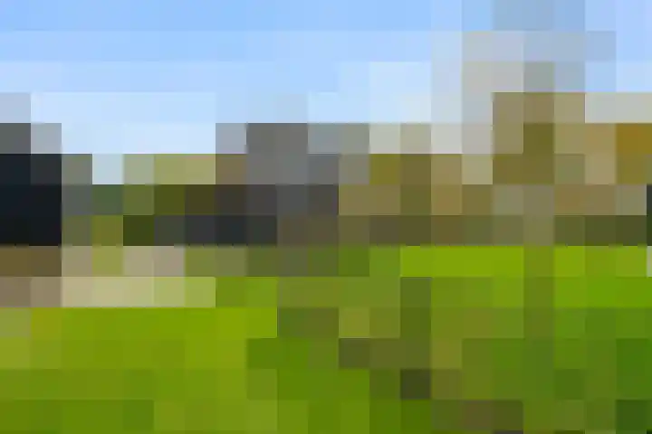 Lunterseweg 50 Ede thumbnail 37