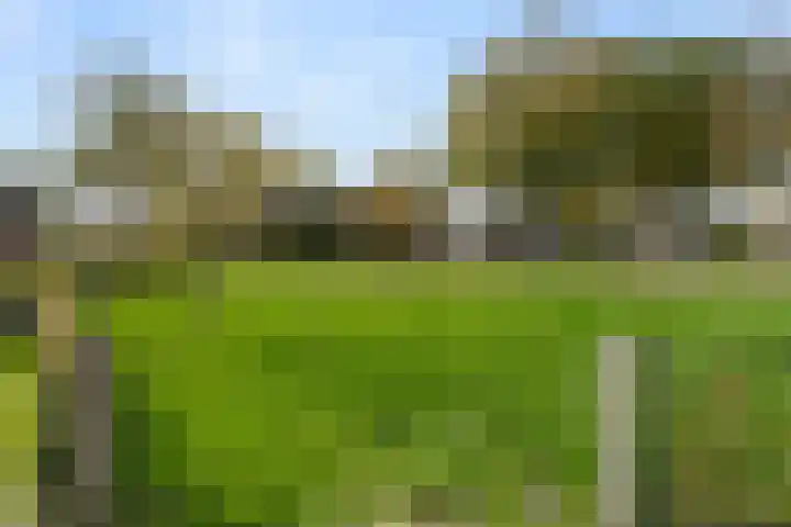 Lunterseweg 50 Ede thumbnail 38