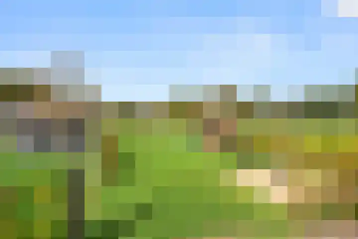 Lunterseweg 50 Ede thumbnail 39