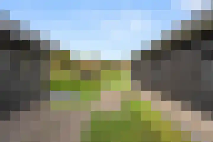 Lunterseweg 50 Ede thumbnail 42