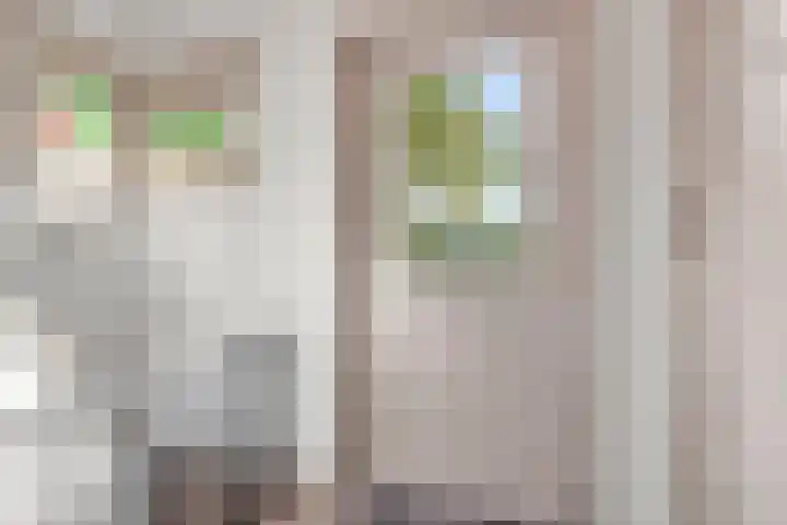 Lunterseweg 50 Ede thumbnail 6