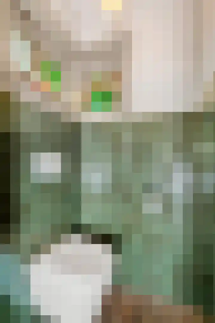 Lunterseweg 50 Ede thumbnail 7