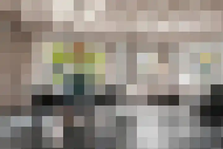 Lunterseweg 50 Ede thumbnail 8