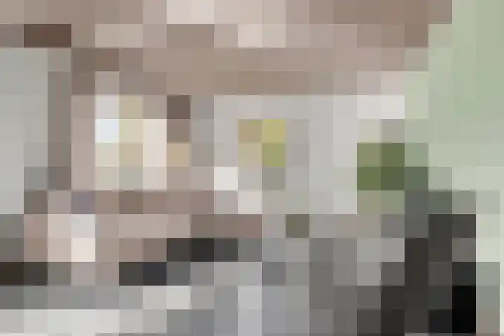 Lunterseweg 50 Ede thumbnail 9