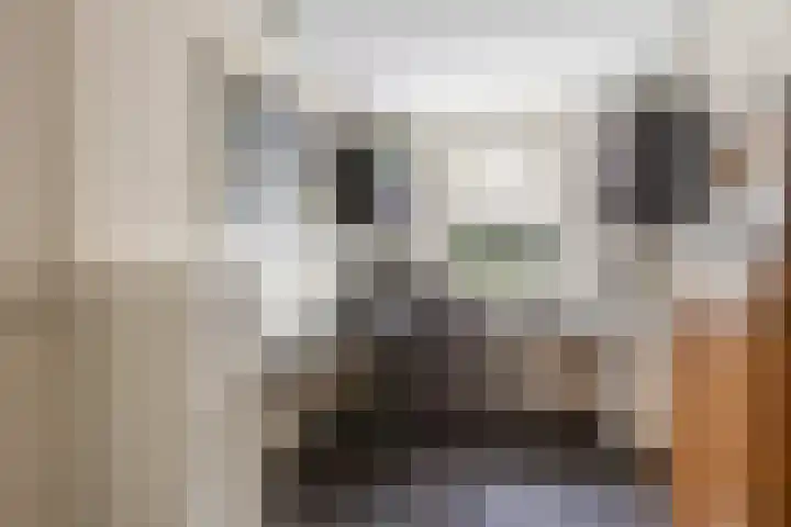 Lunterseweg 62 Ede thumbnail 15