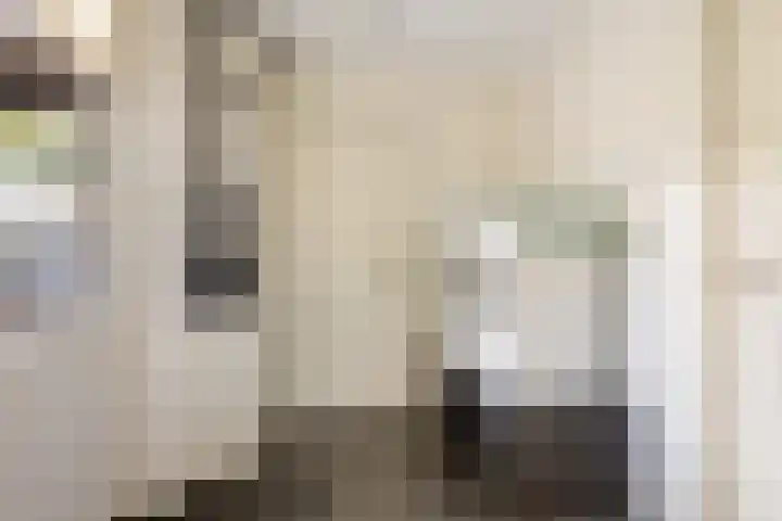 Lunterseweg 62 Ede thumbnail 17