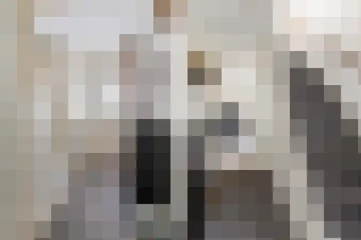 Lunterseweg 62 Ede thumbnail 19