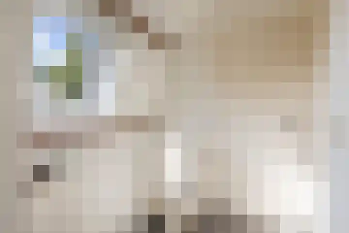 Lunterseweg 62 Ede thumbnail 20