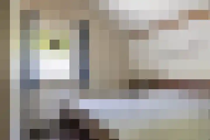 Lunterseweg 62 Ede thumbnail 22