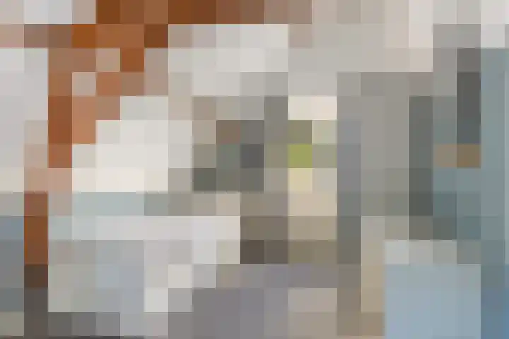 Lunterseweg 62 Ede thumbnail 26