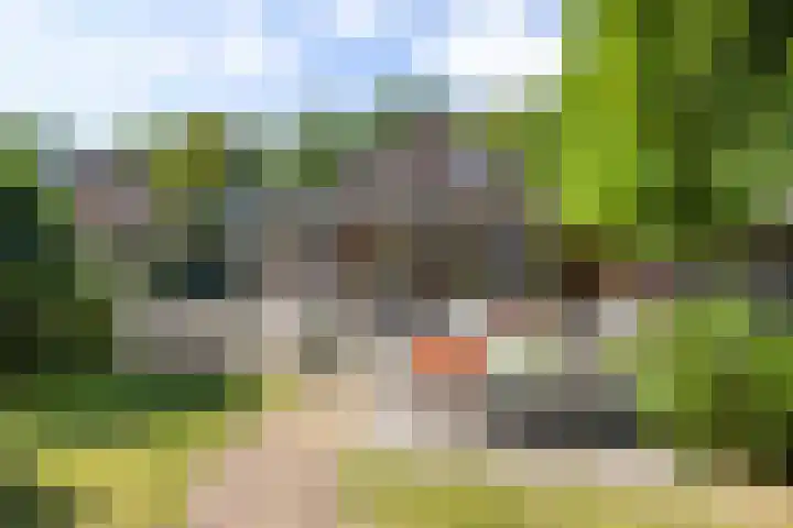 Lunterseweg 62 Ede thumbnail 30