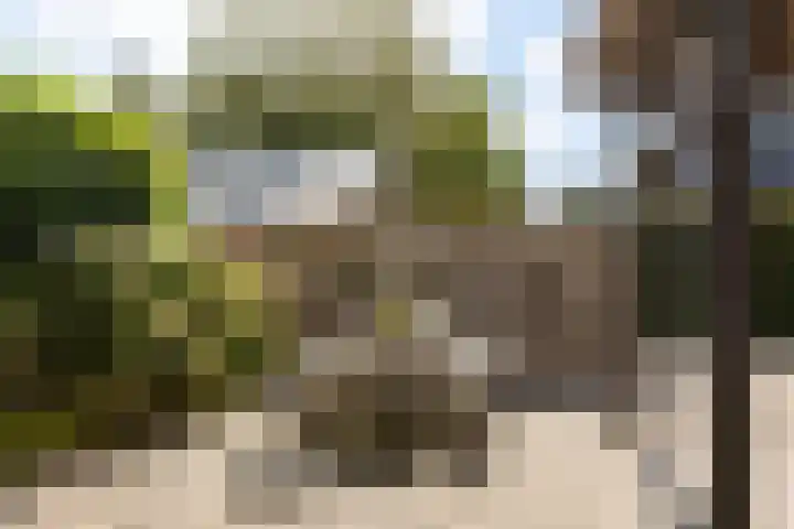 Lunterseweg 62 Ede thumbnail 32