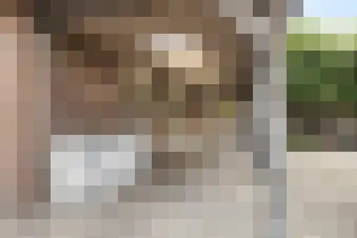 Lunterseweg 62 Ede thumbnail 33