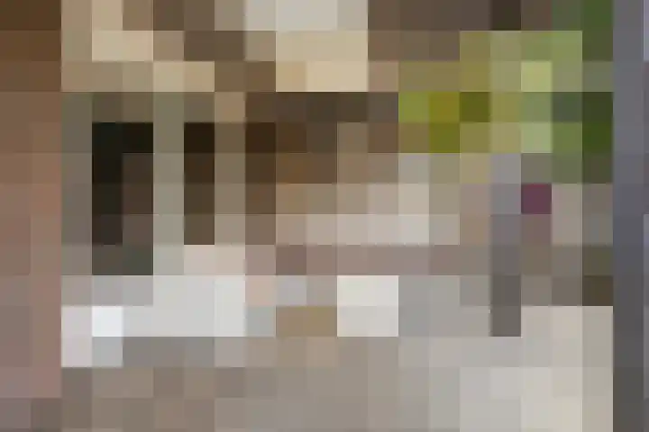 Lunterseweg 62 Ede thumbnail 34