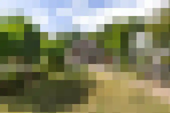 Lunterseweg 62 Ede thumbnail 35