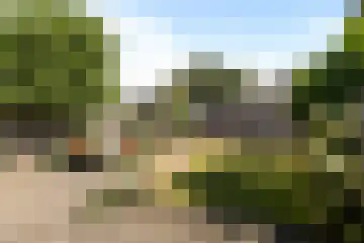 Lunterseweg 62 Ede thumbnail 36