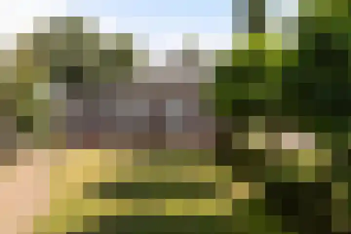 Lunterseweg 62 Ede thumbnail 38