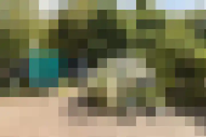 Lunterseweg 62 Ede thumbnail 39