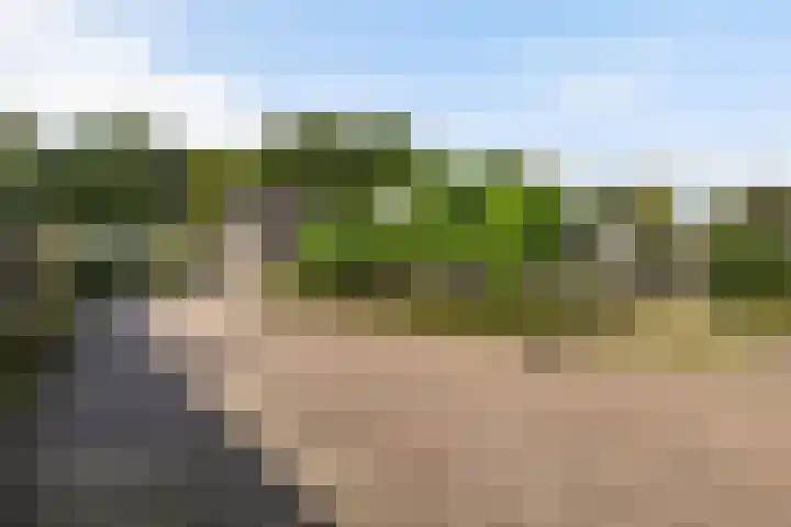 Lunterseweg 62 Ede thumbnail 43