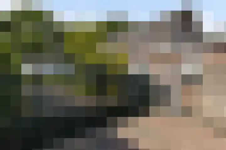 Lunterseweg 62 Ede thumbnail 45