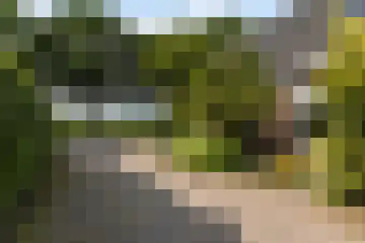 Lunterseweg 62 Ede thumbnail 46