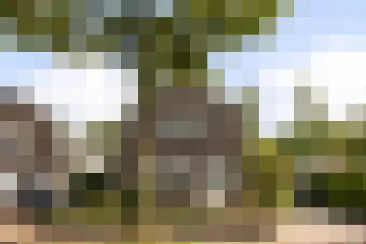 Lunterseweg 62 Ede thumbnail 49