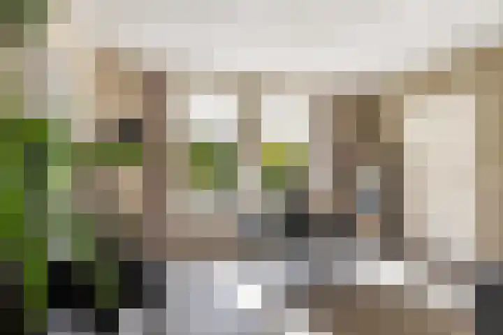 Lunterseweg 62 Ede thumbnail 5