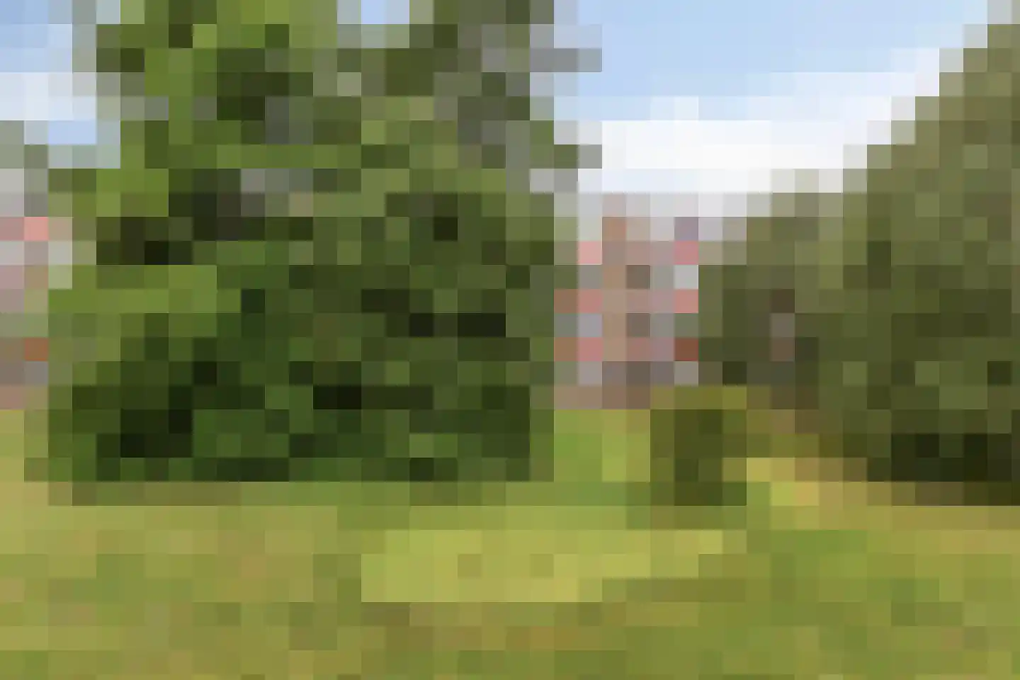Luntershoek 45 Rotterdam thumbnail 22