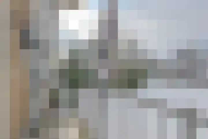 Luntershoek 51 Rotterdam thumbnail 16