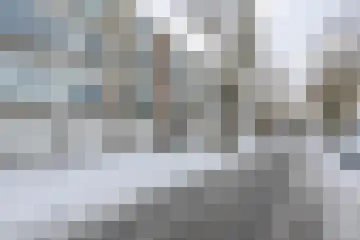 Luntershoek 51 Rotterdam thumbnail 6