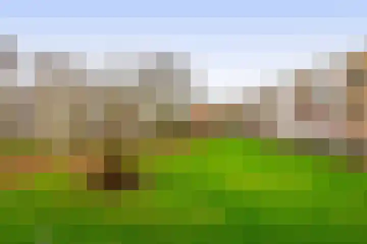 Luntershoek 9 Rotterdam thumbnail 30
