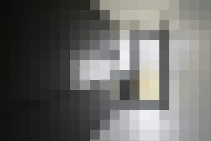 Luntershoek 9 Rotterdam thumbnail 4