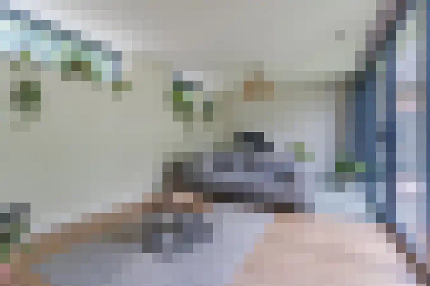 Lupine 1 Eersel thumbnail 14