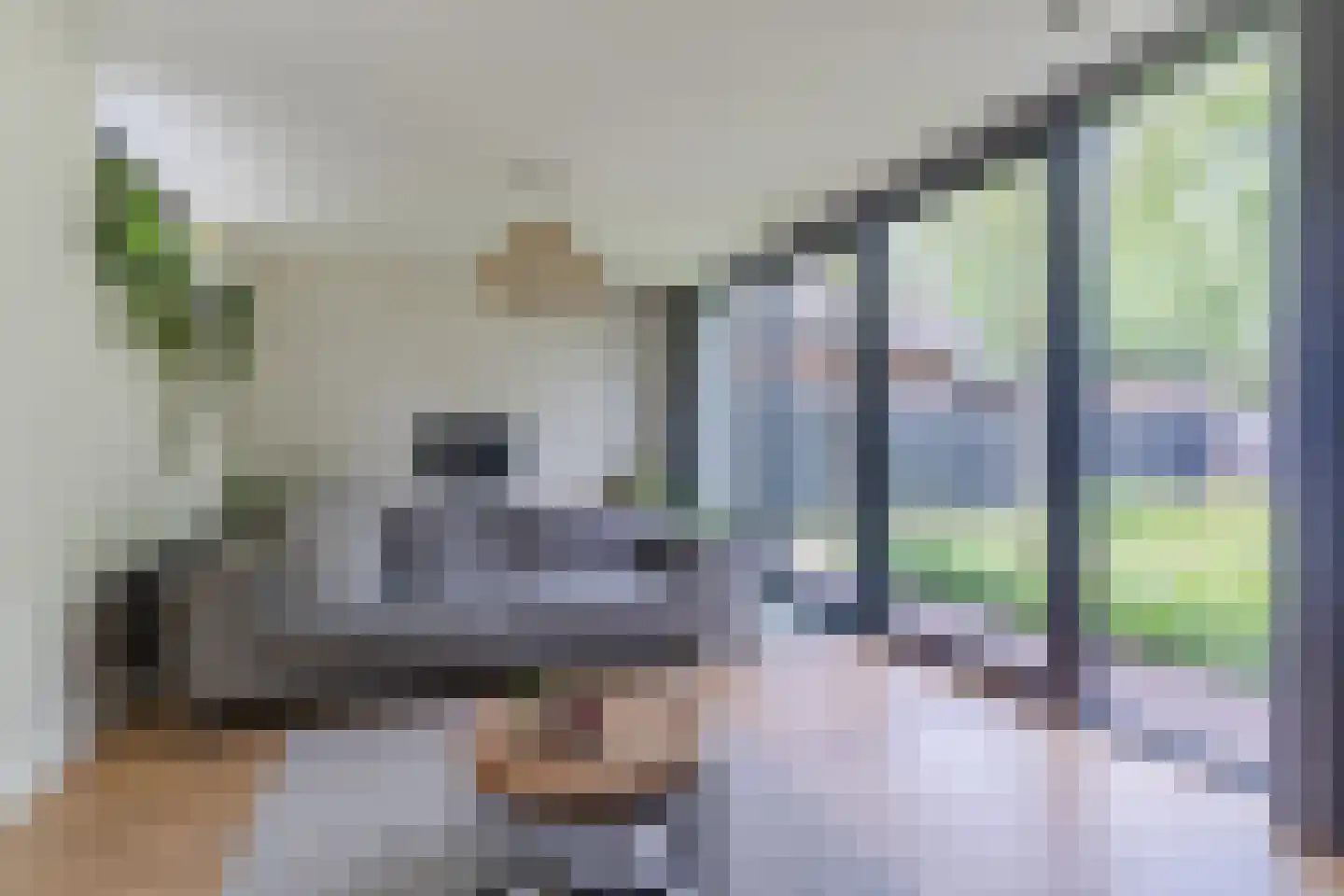 Lupine 1 Eersel thumbnail 15