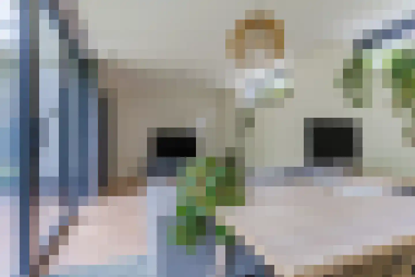 Lupine 1 Eersel thumbnail 18