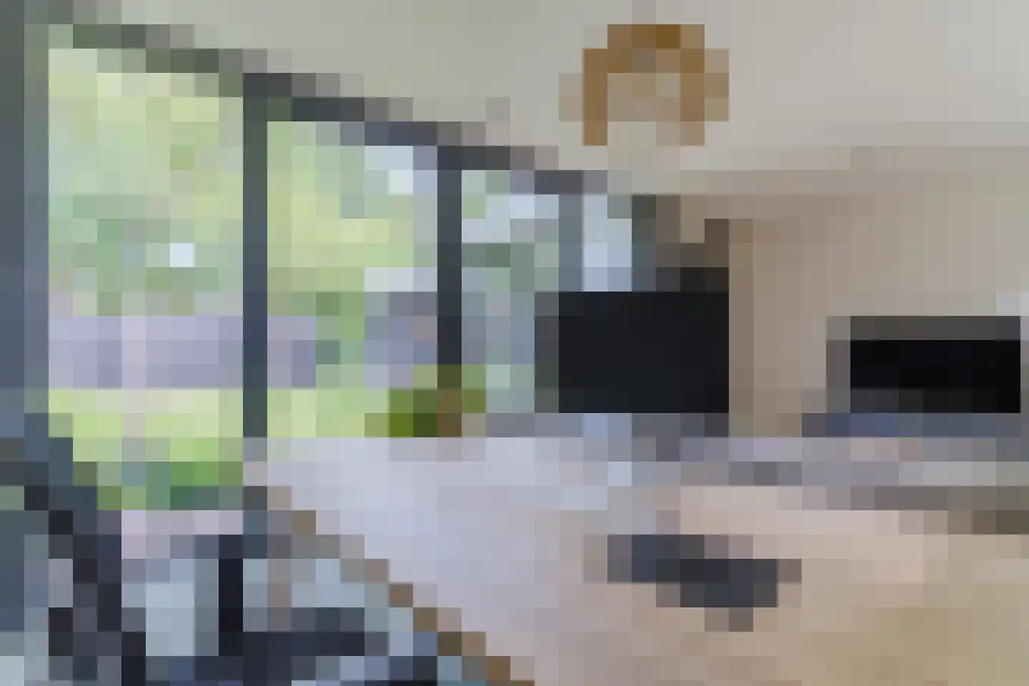 Lupine 1 Eersel thumbnail 19