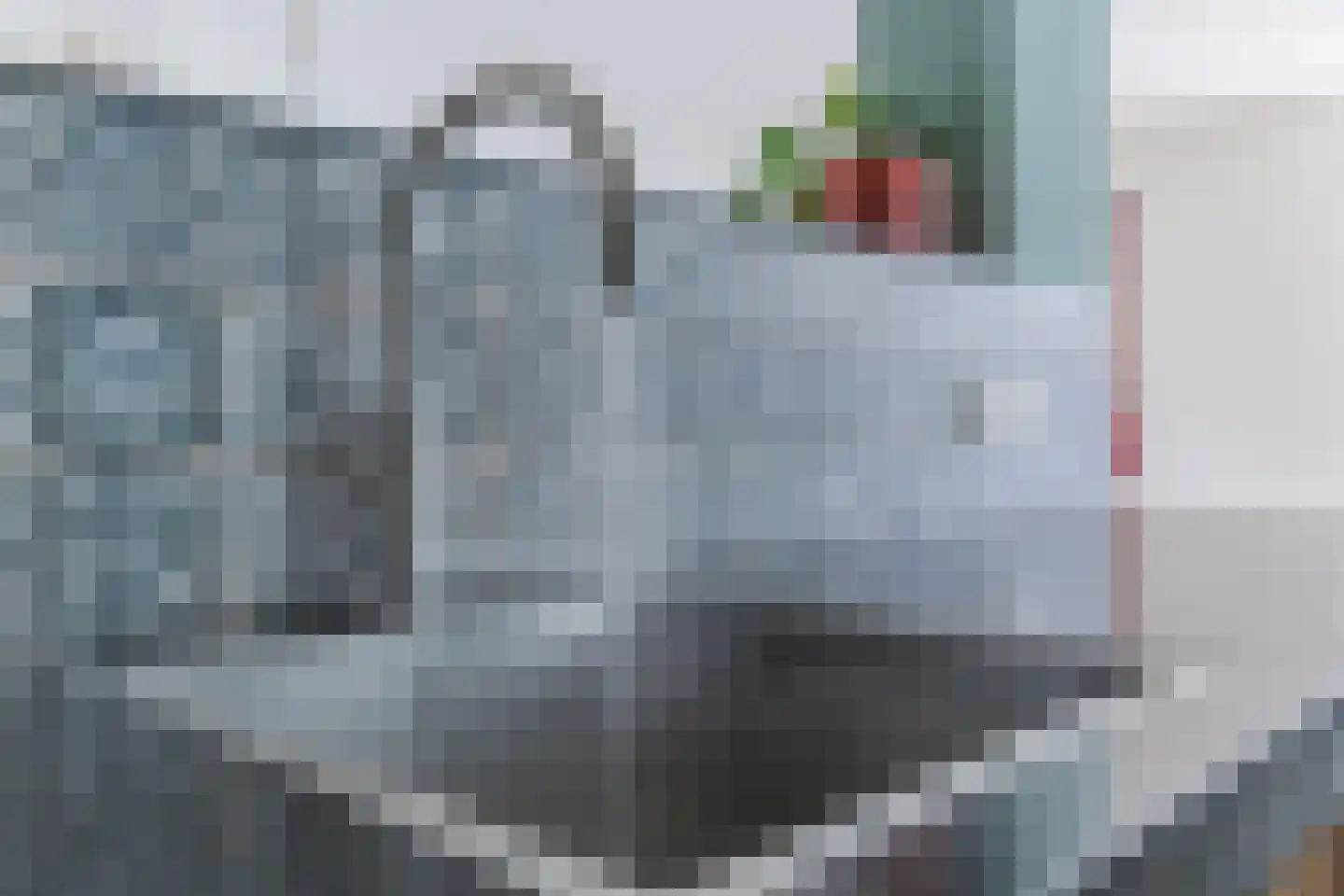 Lupine 1 Eersel thumbnail 23