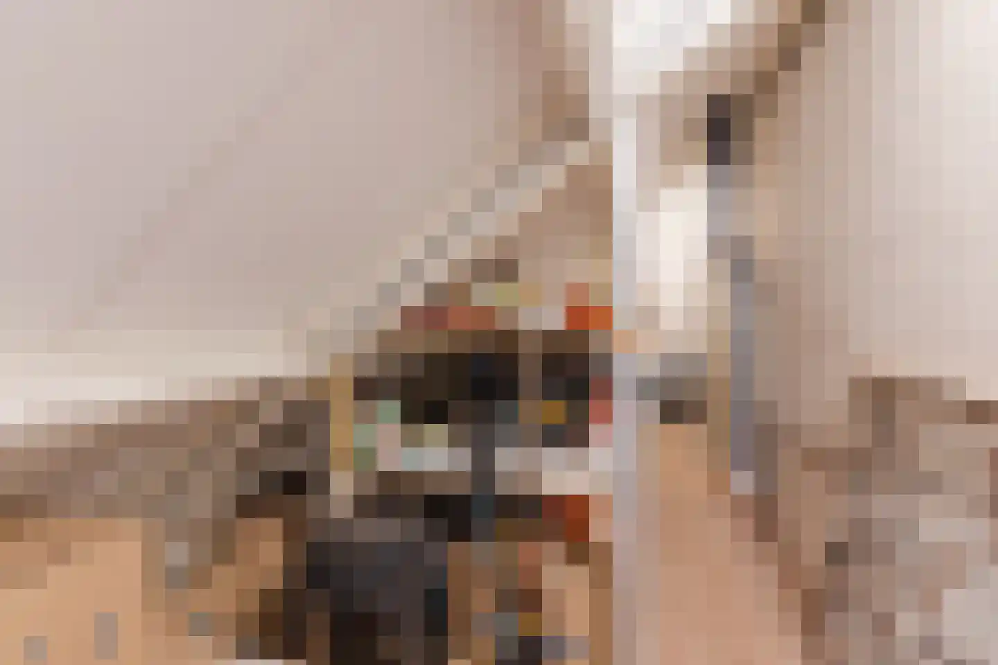 Lupine 1 Eersel thumbnail 28