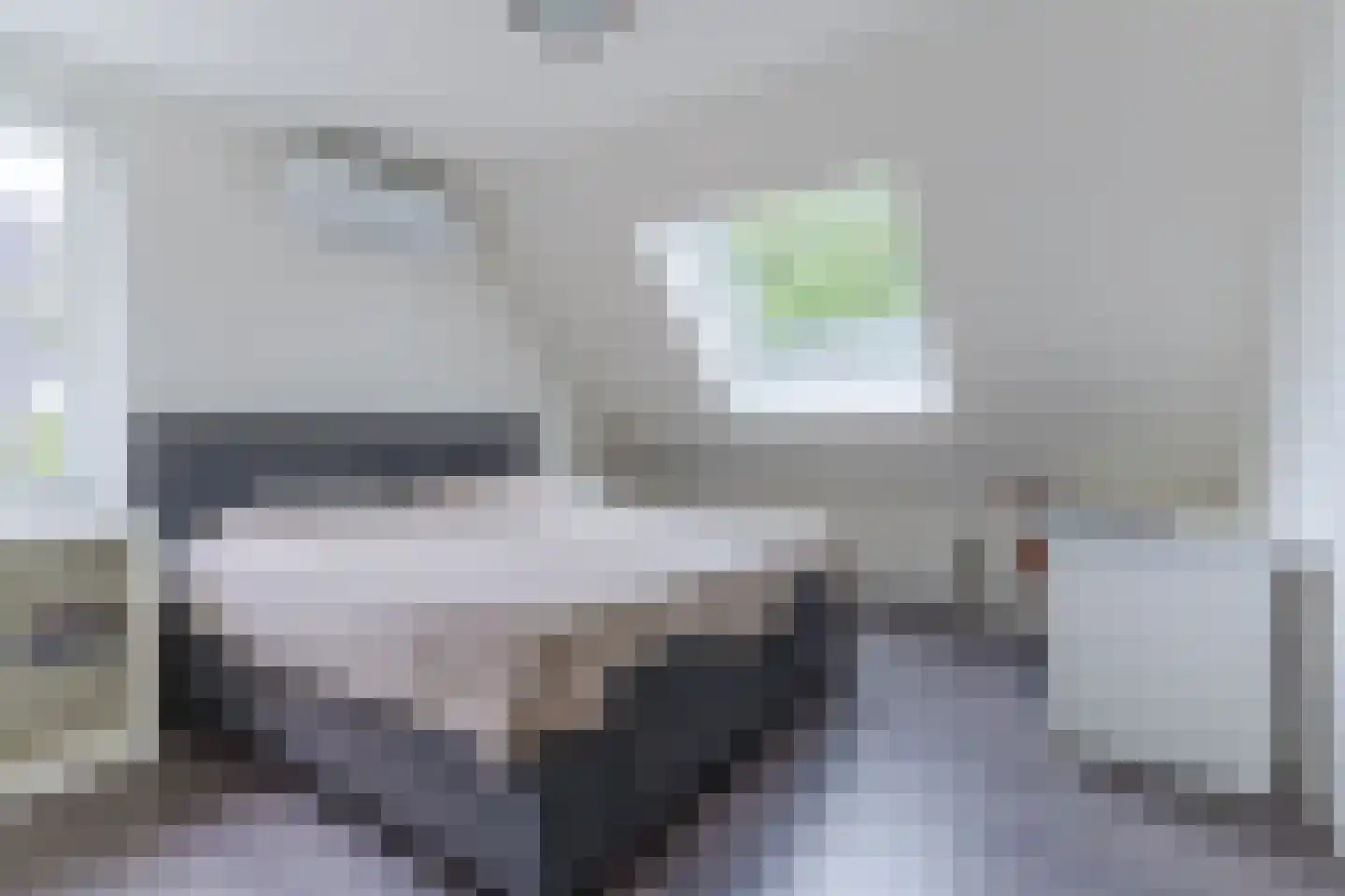 Lupine 1 Eersel thumbnail 31