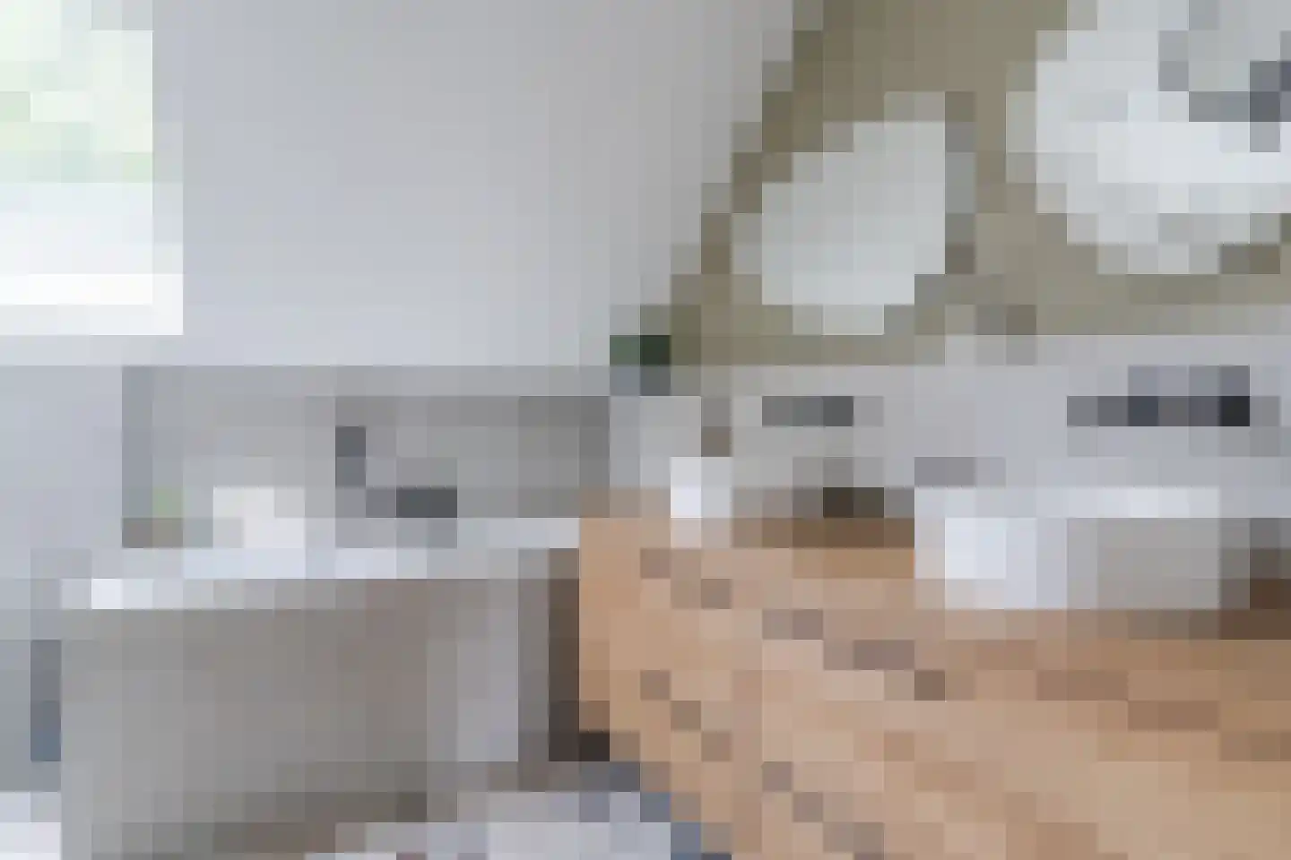 Lupine 1 Eersel thumbnail 37