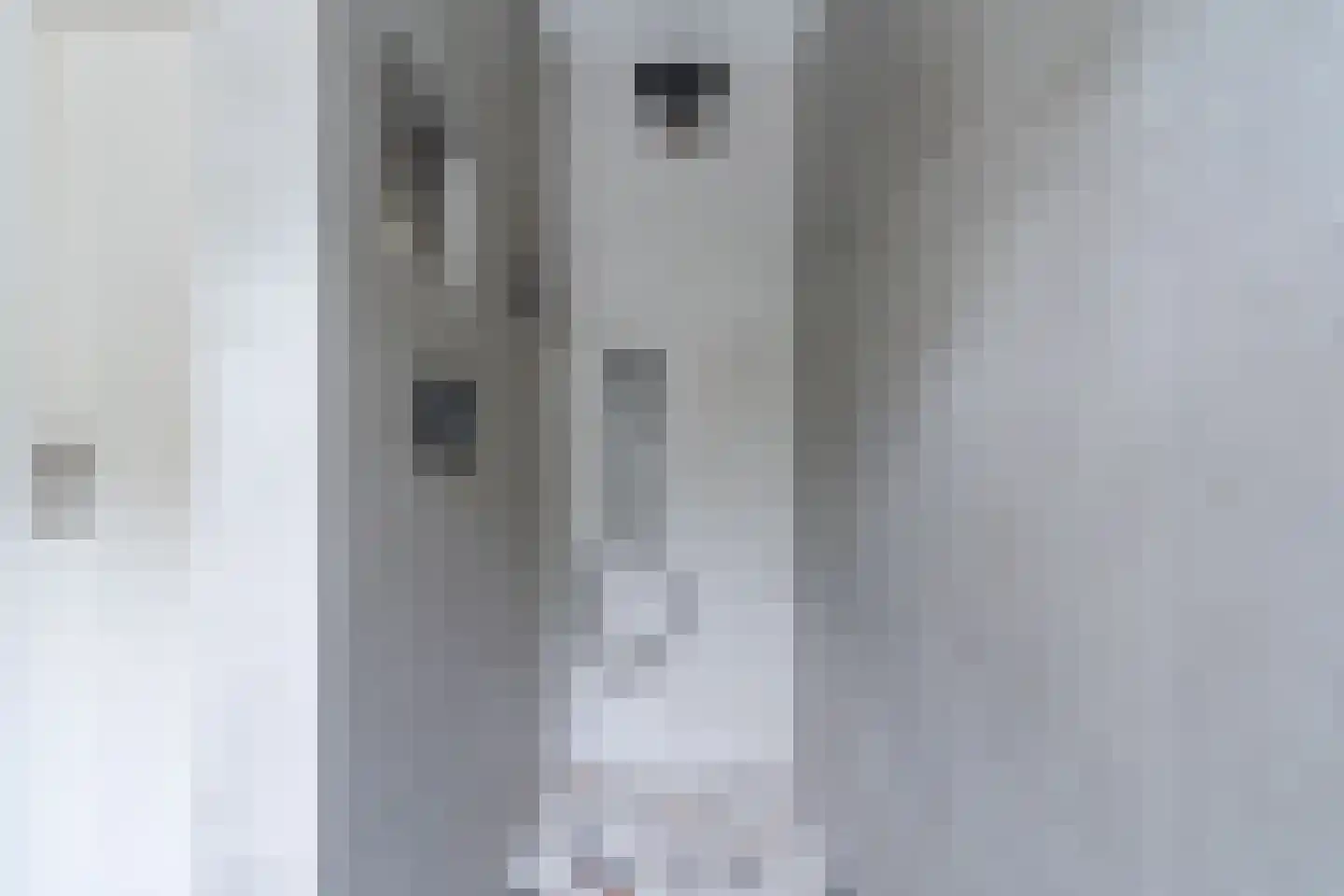 Lupine 1 Eersel thumbnail 40