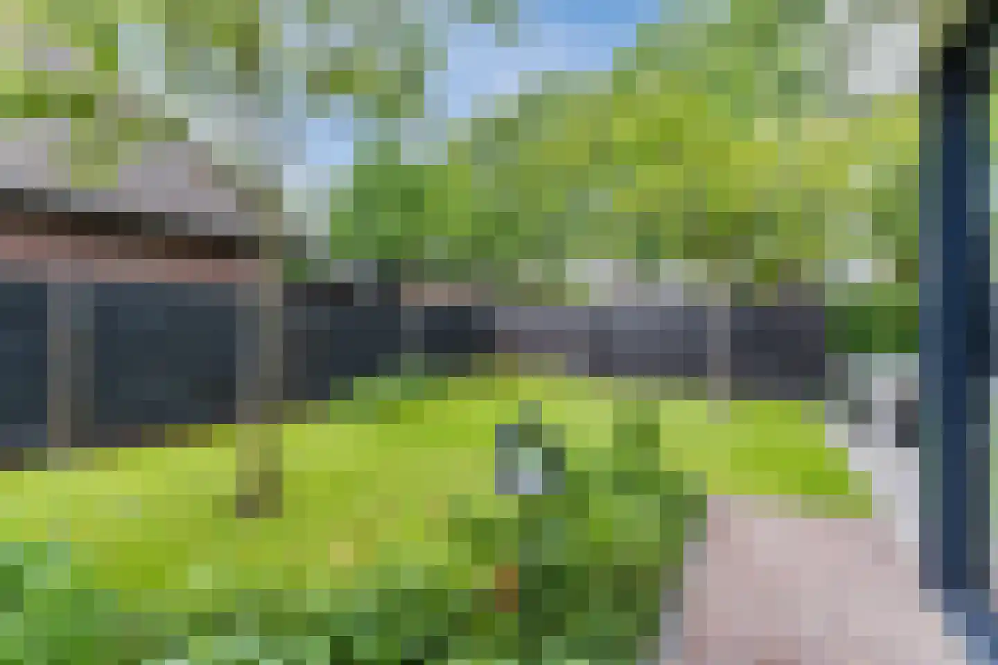 Lupine 1 Eersel thumbnail 45