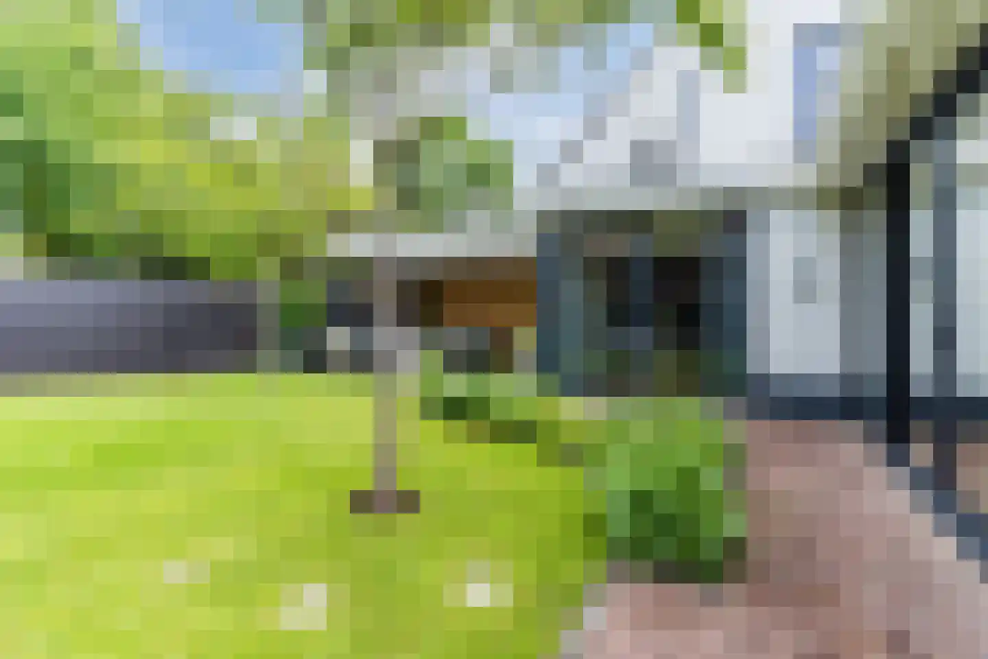 Lupine 1 Eersel thumbnail 46