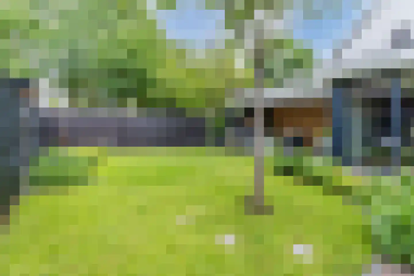 Lupine 1 Eersel thumbnail 47