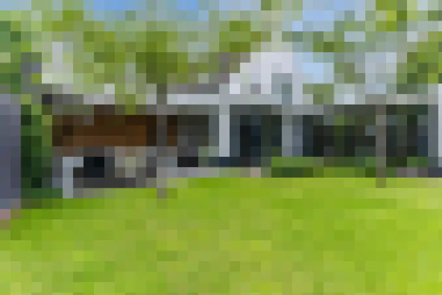 Lupine 1 Eersel thumbnail 48